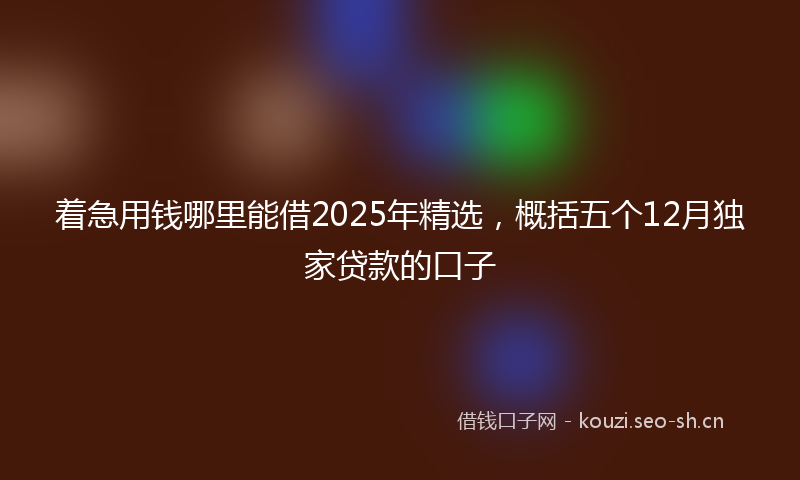 着急用钱哪里能借2025年精选，概括五个12月独家贷款的口子