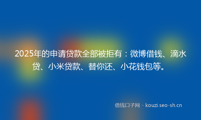 2025年的申请贷款全部被拒有：微博借钱、滴水贷、小米贷款、替你还、小花钱包等。
