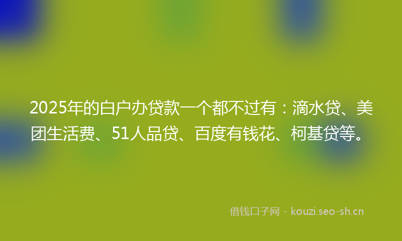 2025年的白户办贷款一个都不过有：滴水贷、美团生活费、51人品贷、百度有钱花、柯基贷等。