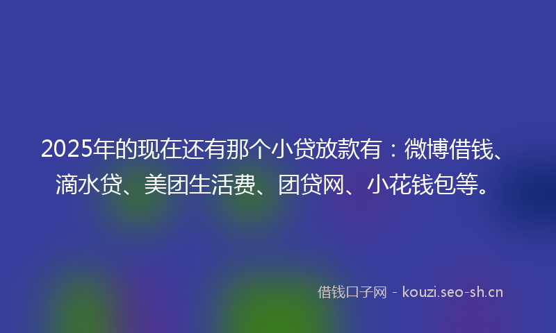 2025年的现在还有那个小贷放款有:微博借钱、滴水贷、美团生活费、团贷网、小花钱包等。