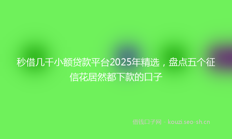 秒借几千小额贷款平台2025年精选，盘点五个征信花居然都下款的口子