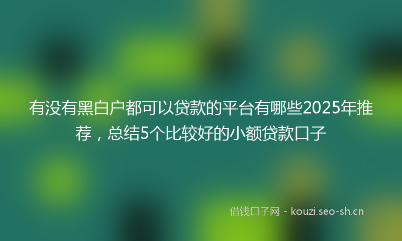 有没有黑白户都可以贷款的平台有哪些2025年推荐，总结5个比较好的小额贷款口子
