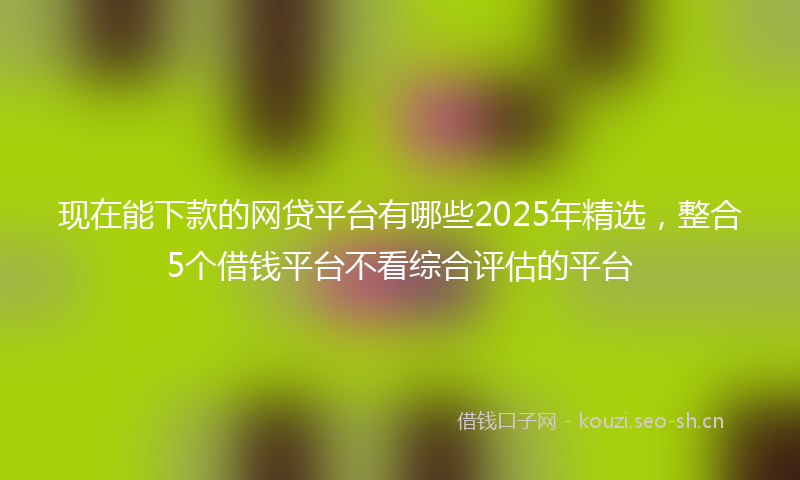 现在能下款的网贷平台有哪些2025年精选,整合5个借钱平台不看综合评估的平台