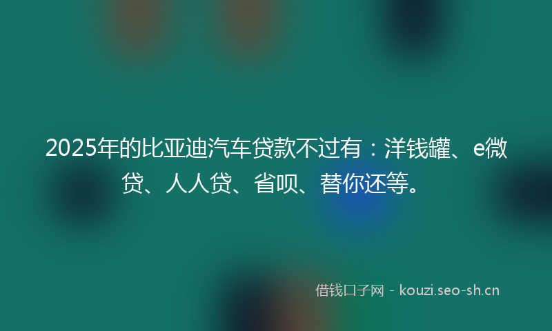 2025年的比亚迪汽车贷款不过有:洋钱罐、e微贷、人人贷、省呗、替你还等。