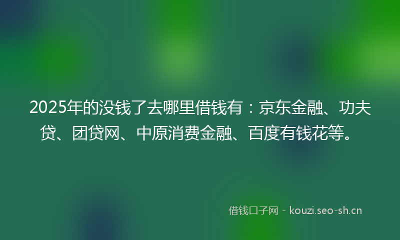 2025年的没钱了去哪里借钱有：京东金融、功夫贷、团贷网、中原消费金融、百度有钱花等。
