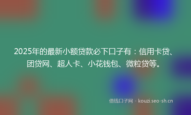 2025年的最新小额贷款必下口子有：信用卡贷、团贷网、超人卡、小花钱包、微粒贷等。