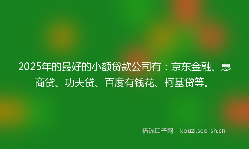 2025年的最好的小额贷款公司有：京东金融、惠商贷、功夫贷、百度有钱花、柯基贷等。