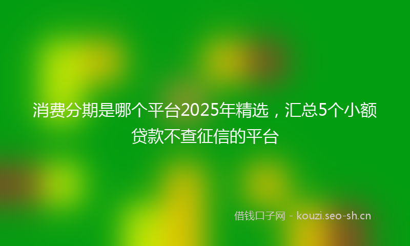 消费分期是哪个平台2025年精选，汇总5个小额贷款不查征信的平台