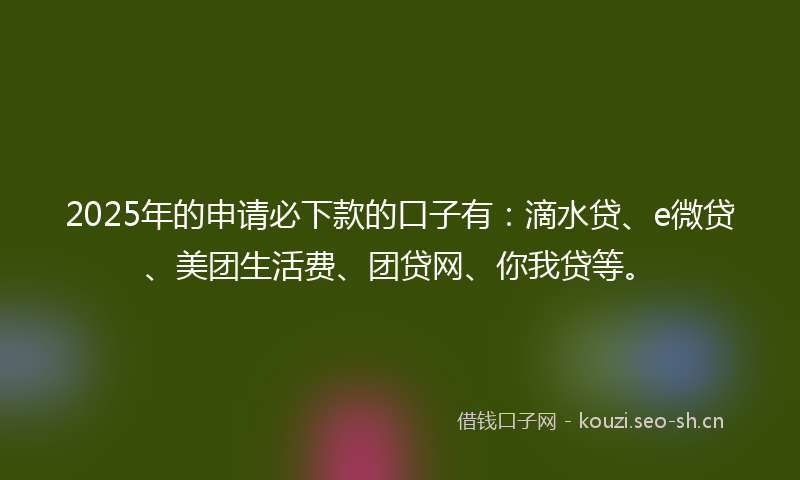 2025年的申请必下款的口子有：滴水贷、e微贷、美团生活费、团贷网、你我贷等。