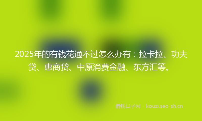 2025年的有钱花通不过怎么办有：拉卡拉、功夫贷、惠商贷、中原消费金融、东方汇等。