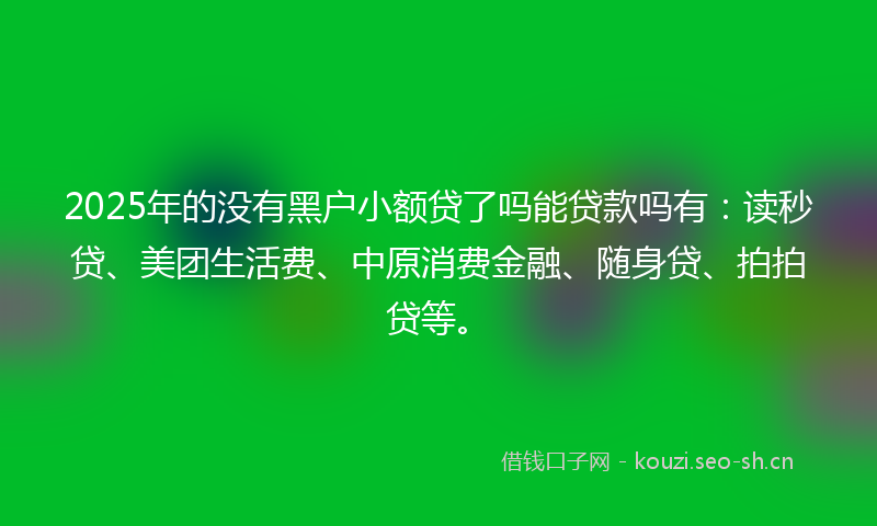 2025年的没有黑户小额贷了吗能贷款吗有：读秒贷、美团生活费、中原消费金融、随身贷、拍拍贷等。