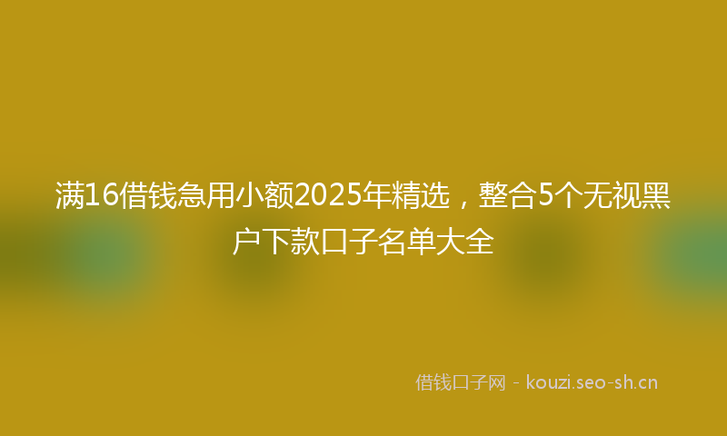 满16借钱急用小额2025年精选,整合5个无视黑户下款口子名单大全