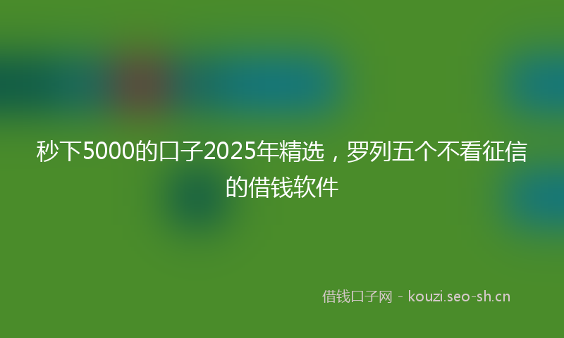 秒下5000的口子2025年精选，罗列五个不看征信的借钱软件