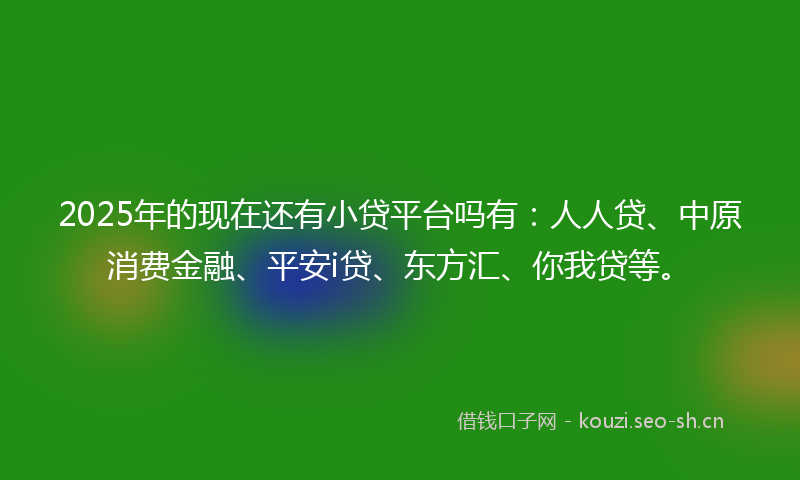 2025年的现在还有小贷平台吗有:人人贷、中原消费金融、平安i贷、东方汇、你我贷等。