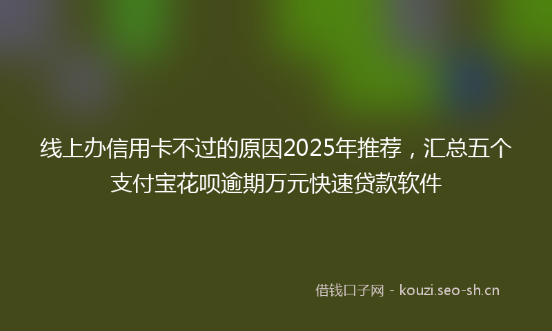 线上办信用卡不过的原因2025年推荐,汇总五个支付宝花呗逾期万元快速贷款软件