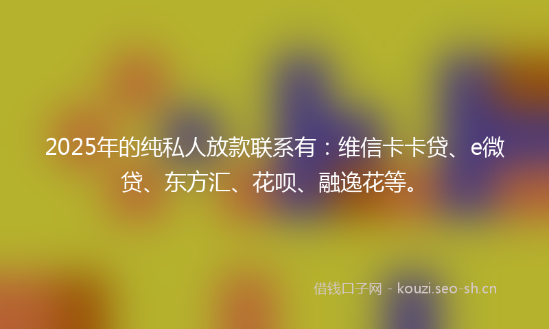 2025年的纯私人放款联系有：维信卡卡贷、e微贷、东方汇、花呗、融逸花等。