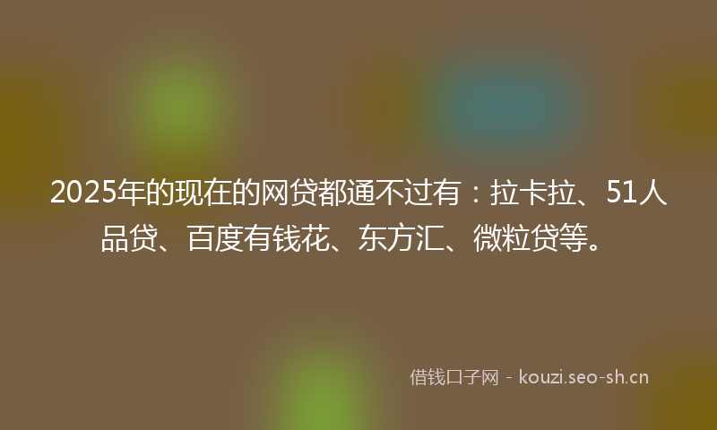 2025年的现在的网贷都通不过有：拉卡拉、51人品贷、百度有钱花、东方汇、微粒贷等。
