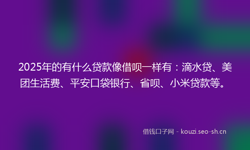 2025年的有什么贷款像借呗一样有：滴水贷、美团生活费、平安口袋银行、省呗、小米贷款等。