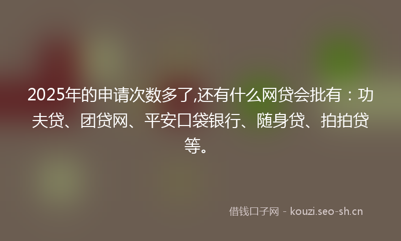2025年的申请次数多了,还有什么网贷会批有：功夫贷、团贷网、平安口袋银行、随身贷、拍拍贷等。