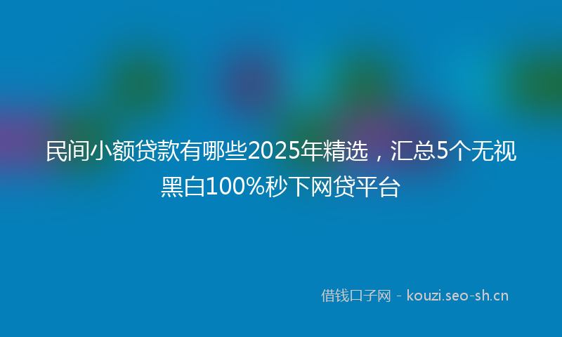 民间小额贷款有哪些2025年精选，汇总5个无视黑白100%秒下网贷平台