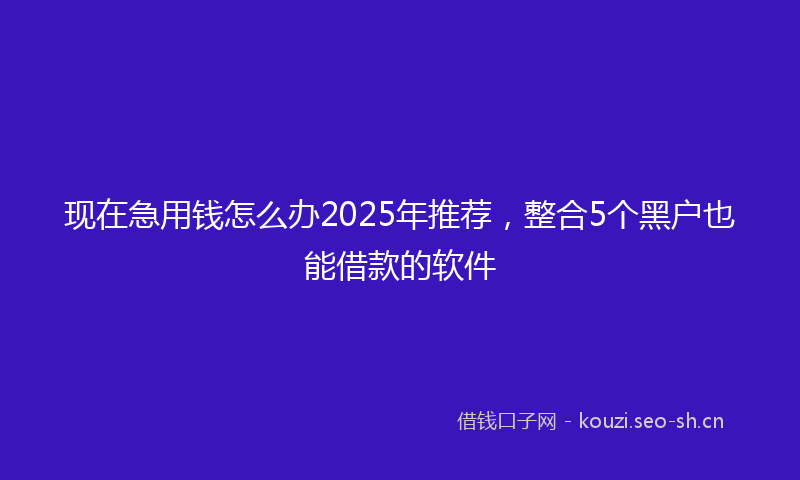 现在急用钱怎么办2025年推荐，整合5个黑户也能借款的软件