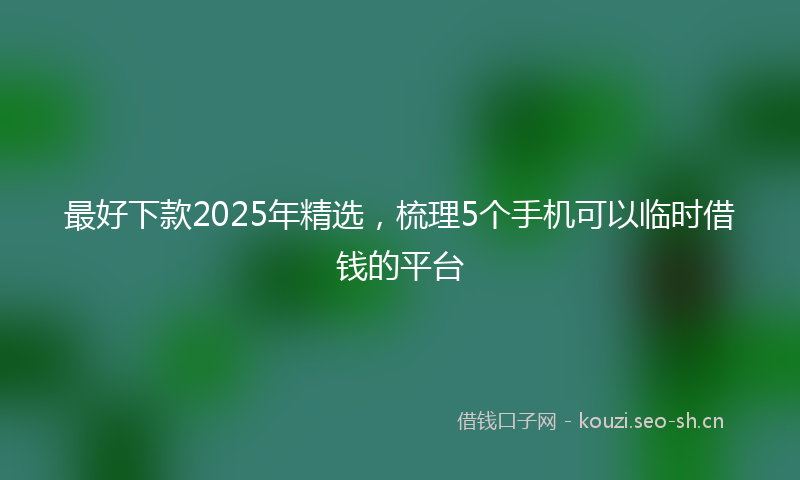 最好下款2025年精选，梳理5个手机可以临时借钱的平台