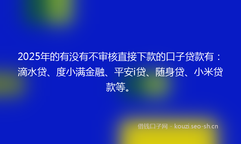 2025年的有没有不审核直接下款的口子贷款有：滴水贷、度小满金融、平安i贷、随身贷、小米贷款等。
