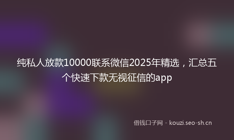 纯私人放款10000联系微信2025年精选，汇总五个快速下款无视征信的app