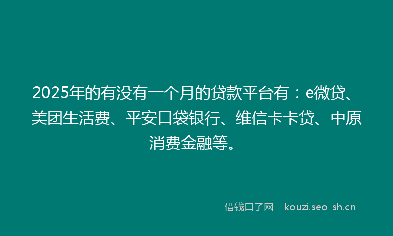 2025年的有没有一个月的贷款平台有：e微贷、美团生活费、平安口袋银行、维信卡卡贷、中原消费金融等。