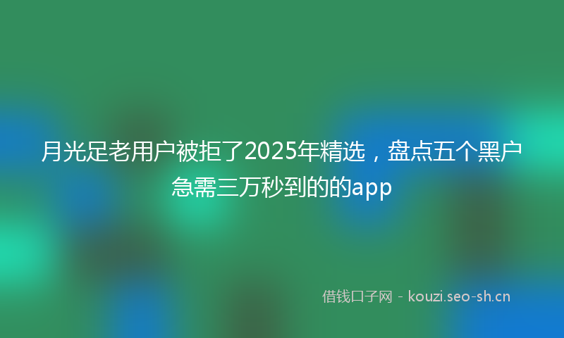 月光足老用户被拒了2025年精选，盘点五个黑户急需三万秒到的的app
