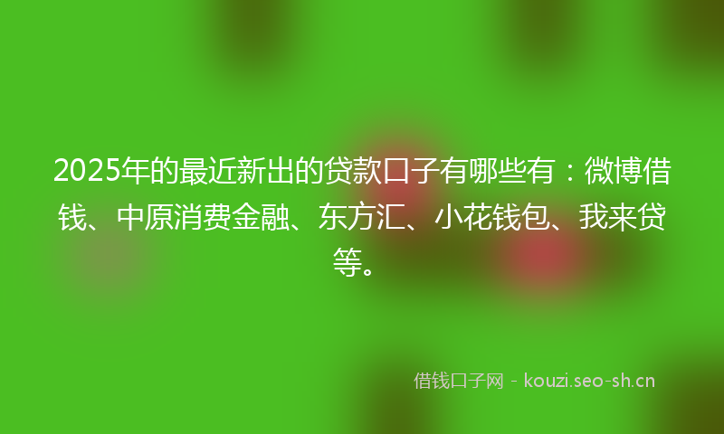 2025年的最近新出的贷款口子有哪些有：微博借钱、中原消费金融、东方汇、小花钱包、我来贷等。