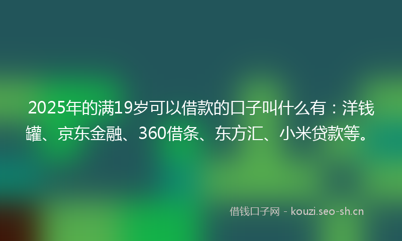 2025年的满19岁可以借款的口子叫什么有：洋钱罐、京东金融、360借条、东方汇、小米贷款等。