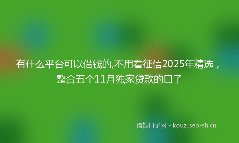 有什么平台可以借钱的,不用看征信2025年精选，整合五个11月独家贷款的口子