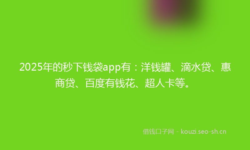 2025年的秒下钱袋app有：洋钱罐、滴水贷、惠商贷、百度有钱花、超人卡等。