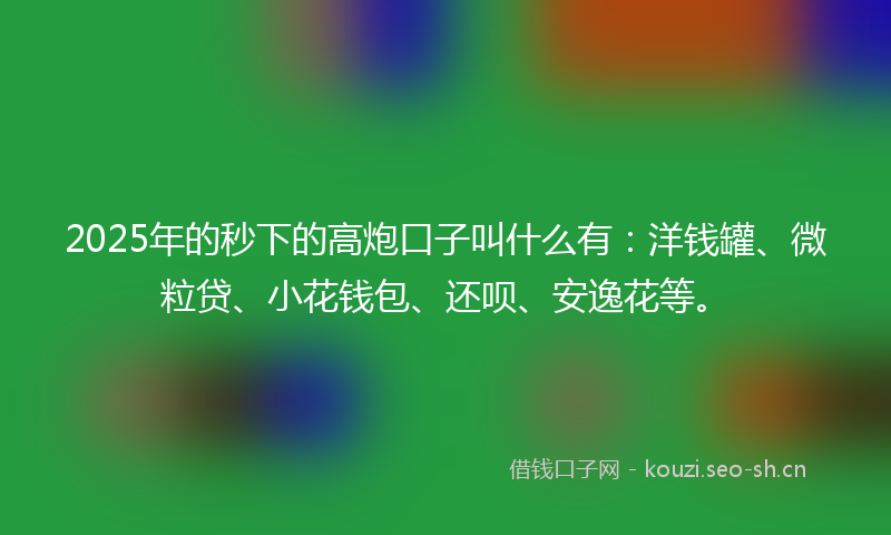 2025年的秒下的高炮口子叫什么有：洋钱罐、微粒贷、小花钱包、还呗、安逸花等。