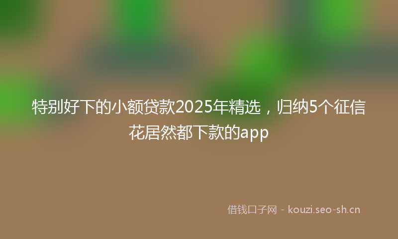 特别好下的小额贷款2025年精选，归纳5个征信花居然都下款的app