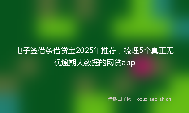 电子签借条借贷宝2025年推荐，梳理5个真正无视逾期大数据的网贷app