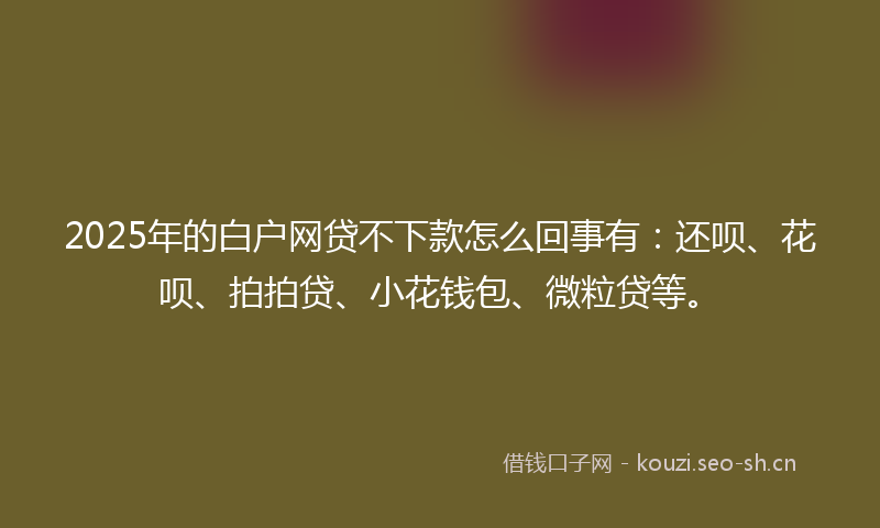 2025年的白户网贷不下款怎么回事有：还呗、花呗、拍拍贷、小花钱包、微粒贷等。