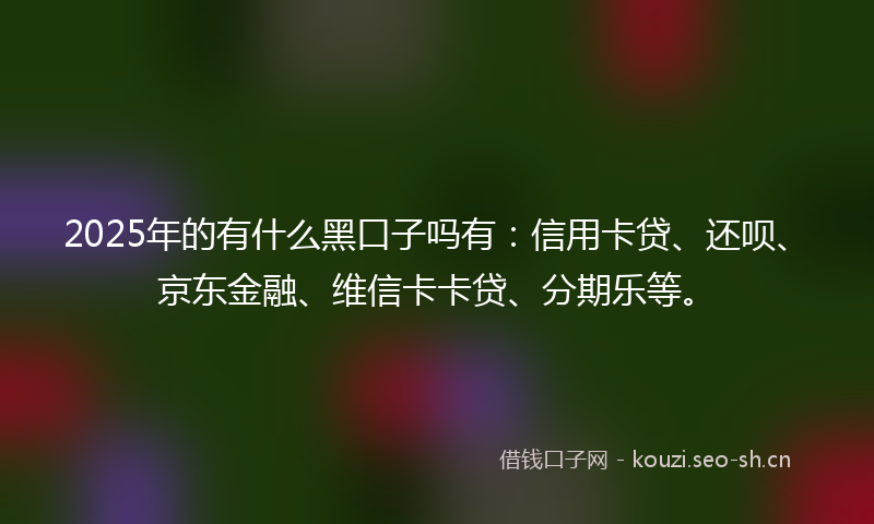2025年的有什么黑口子吗有：信用卡贷、还呗、京东金融、维信卡卡贷、分期乐等。