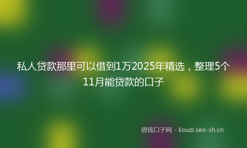 私人贷款那里可以借到1万2025年精选，整理5个11月能贷款的口子