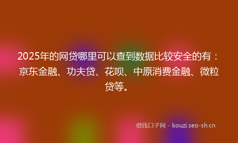 2025年的网贷哪里可以查到数据比较安全的有：京东金融、功夫贷、花呗、中原消费金融、微粒贷等。