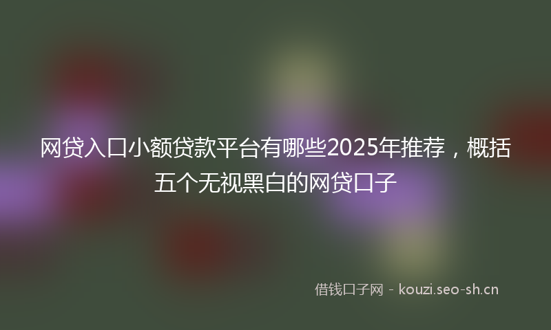 网贷入口小额贷款平台有哪些2025年推荐，概括五个无视黑白的网贷口子