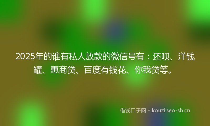 2025年的谁有私人放款的微信号有：还呗、洋钱罐、惠商贷、百度有钱花、你我贷等。