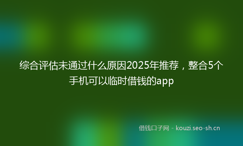 综合评估未通过什么原因2025年推荐，整合5个手机可以临时借钱的app