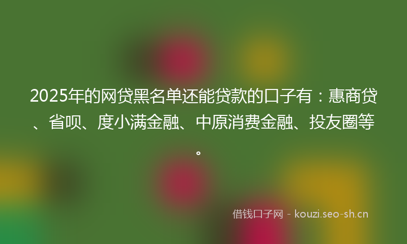 2025年的网贷黑名单还能贷款的口子有：惠商贷、省呗、度小满金融、中原消费金融、投友圈等。