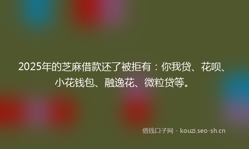 2025年的芝麻借款还了被拒有：你我贷、花呗、小花钱包、融逸花、微粒贷等。