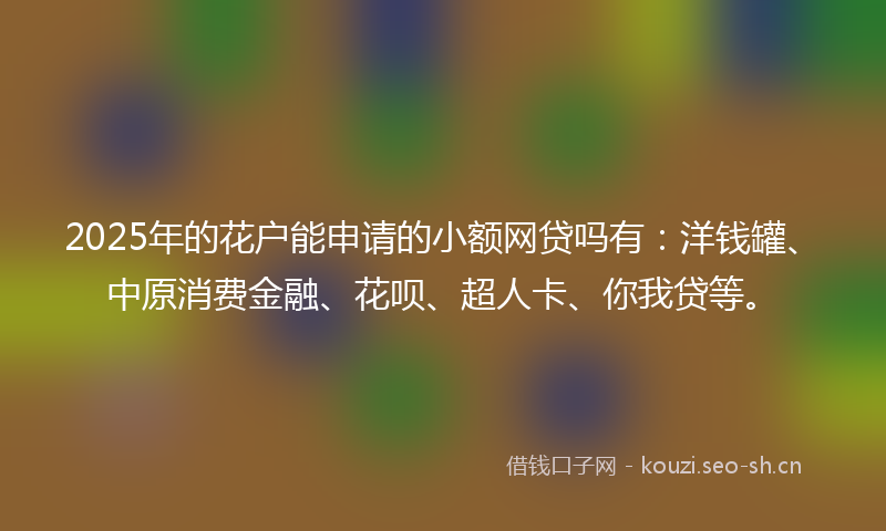 2025年的花户能申请的小额网贷吗有：洋钱罐、中原消费金融、花呗、超人卡、你我贷等。