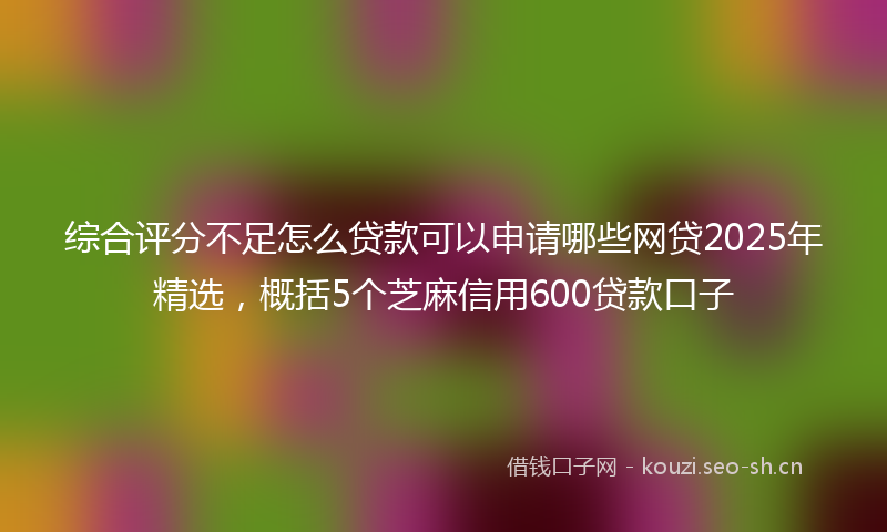 综合评分不足怎么贷款可以申请哪些网贷2025年精选,概括5个芝麻信用600贷款口子