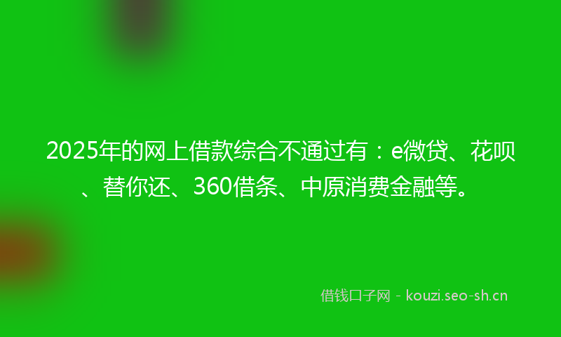 2025年的网上借款综合不通过有：e微贷、花呗、替你还、360借条、中原消费金融等。