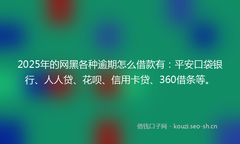 2025年的网黑各种逾期怎么借款有：平安口袋银行、人人贷、花呗、信用卡贷、360借条等。